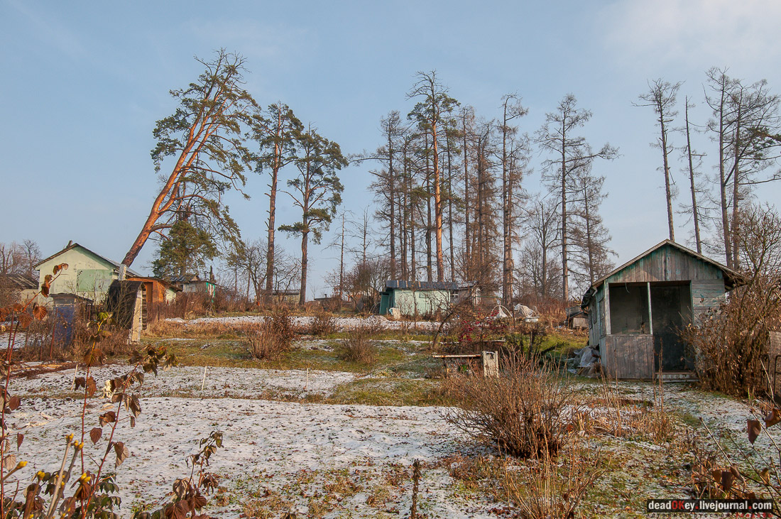 Усадьба Глебово-Брусилово