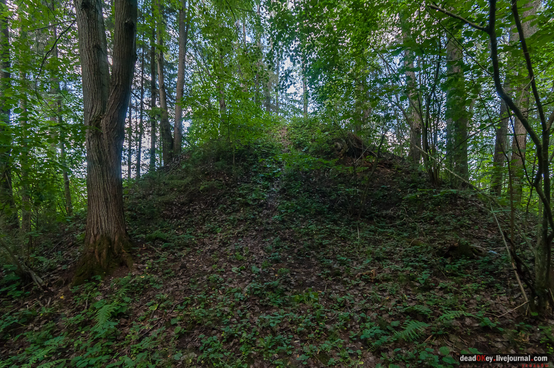 усадьба Васильевское Повалишиных