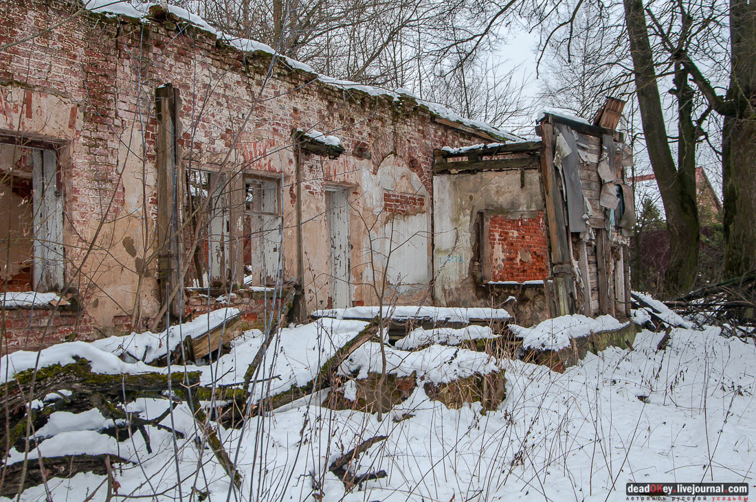 усадьба Гребнево, больничный комплекс