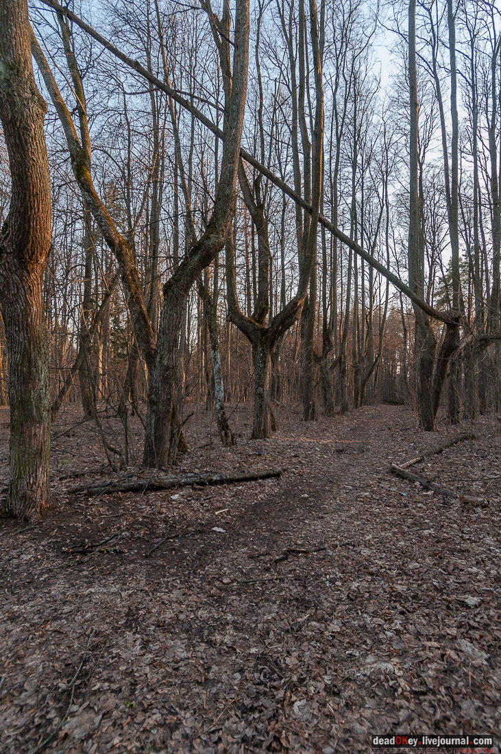 усадьба Никольское-Урюпино