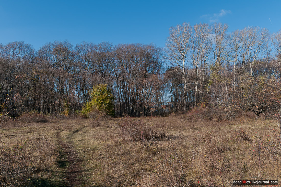 усадьба Полибино