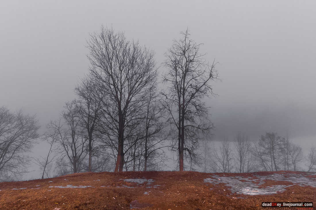 усадьба Асеевых, г.Тамбов