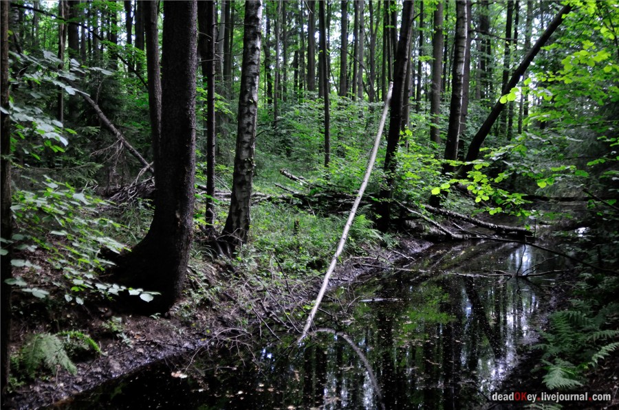 усадьба Алмазово