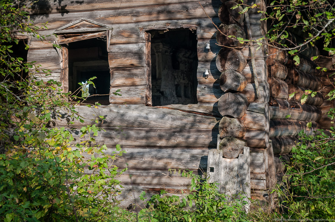 дер. Кучепалда, Архангельская обл.