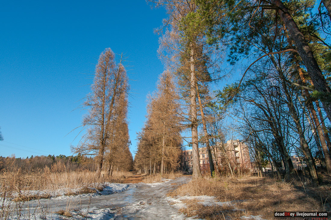 ПИОНЕРСКИЙ ЛАГЕРЬ ДРУЖБА ИМ. А.П. ГАЙДАРА