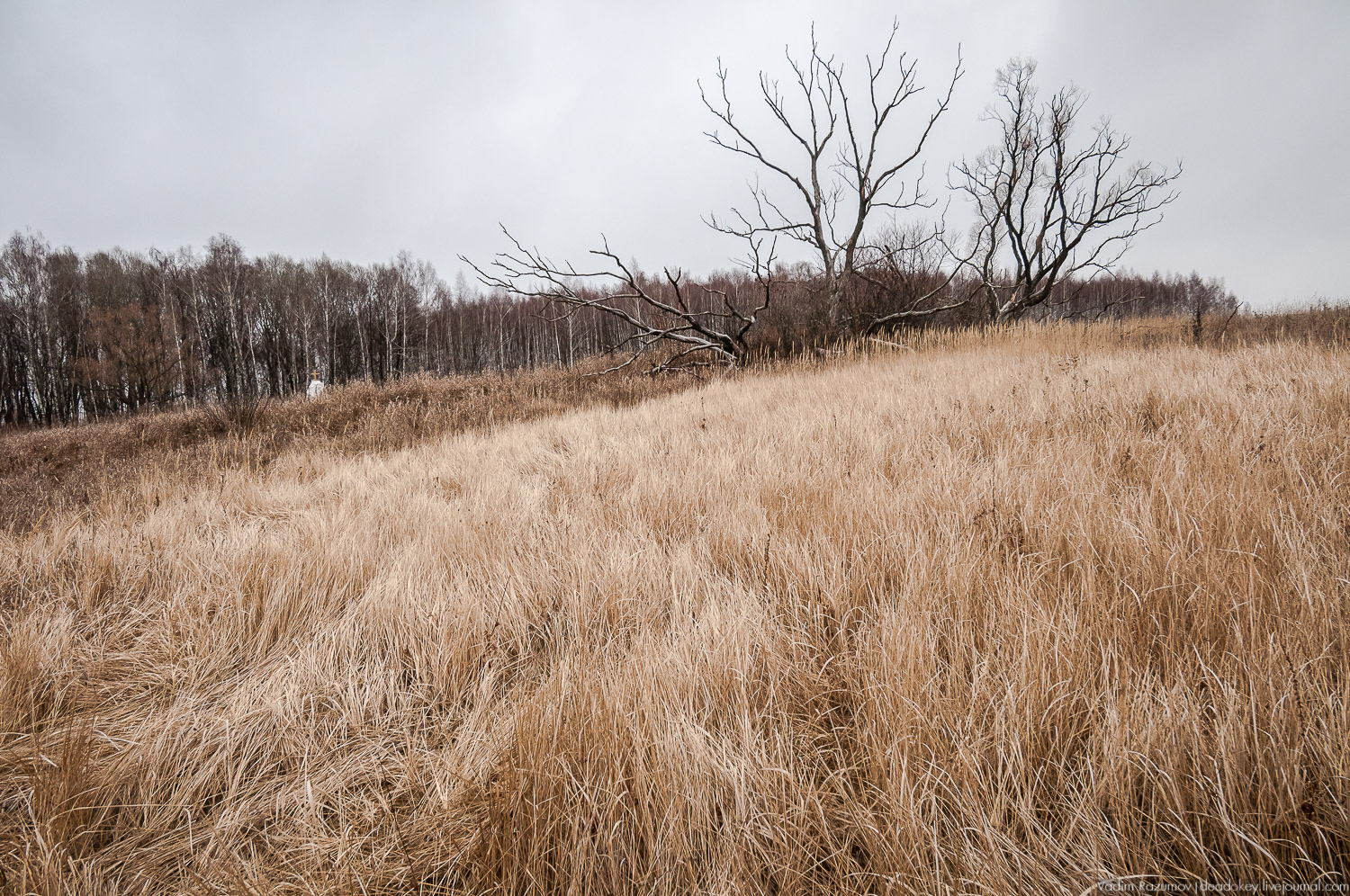 Старое Глазово, Тульская область, каширский уезд, могила архитектора В.И. Баженова