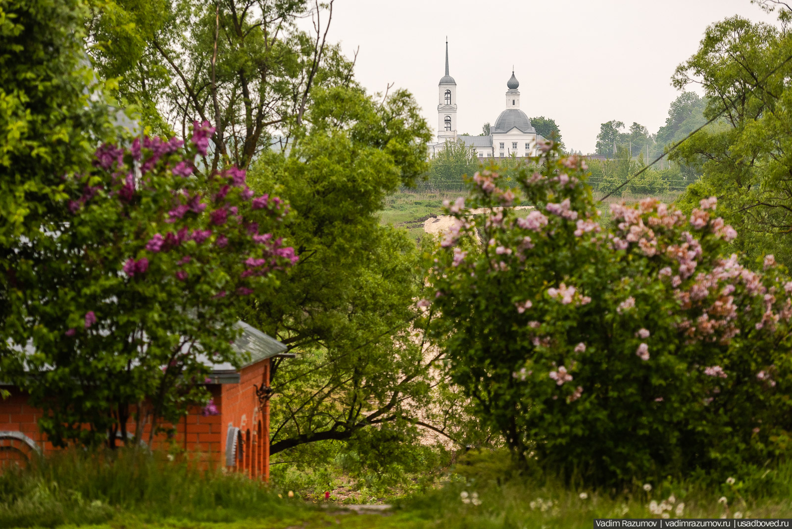 Архангельские Борки, Липецкая область, Липецкий район. Церковь Дмитрия Солунского