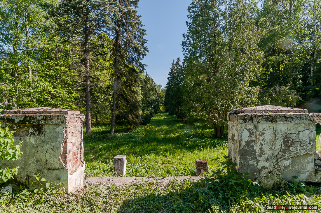 усадьба Мамоново, Сколково, Гусева полоса