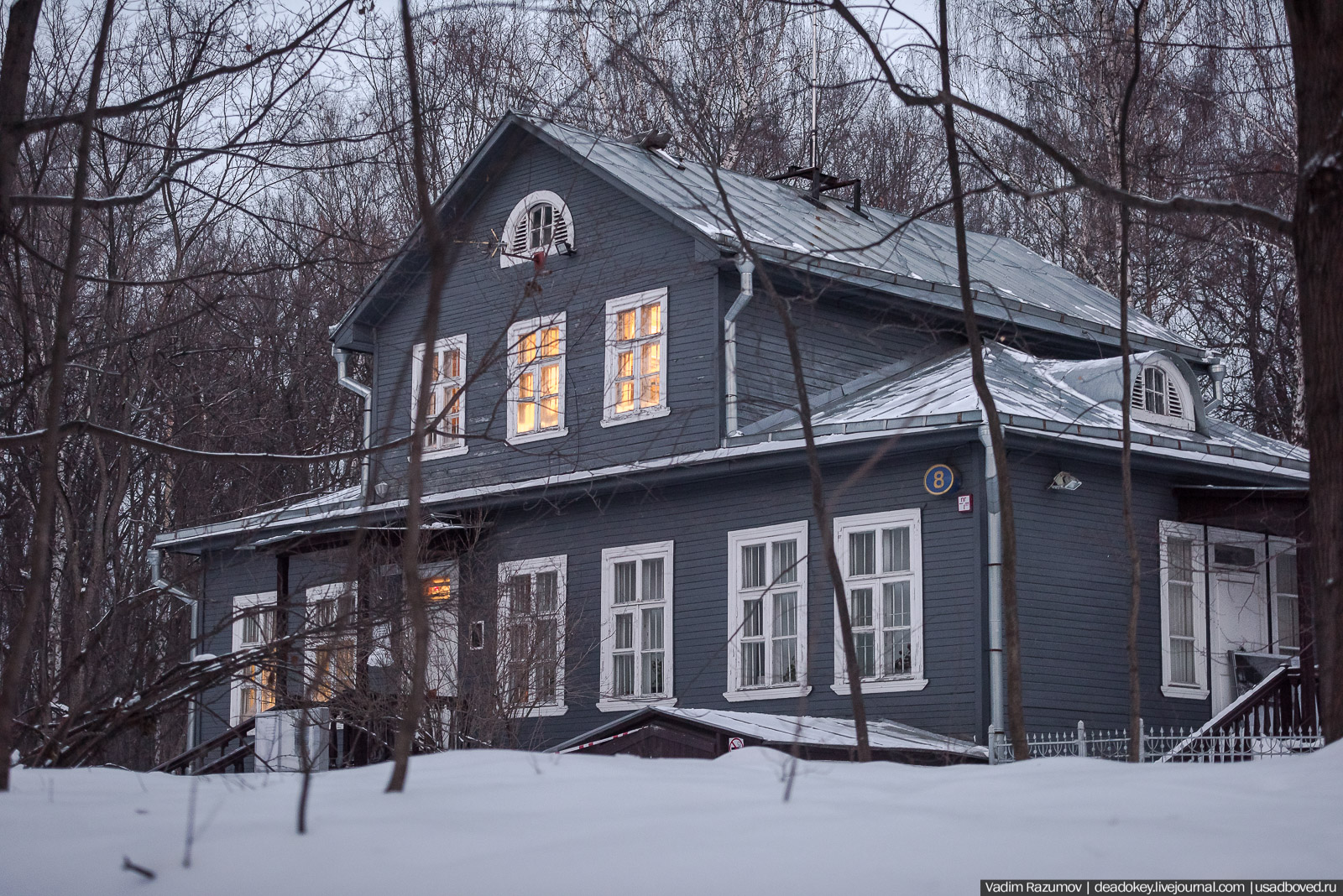Усадьба Кузьминки, Москва, январь 2019 года