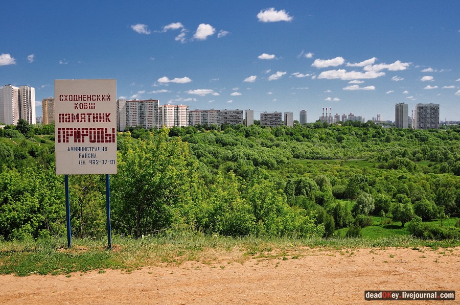 усадьба Братцево