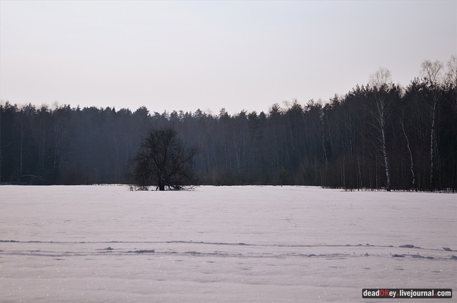 усадьба Костино Сабашниковых