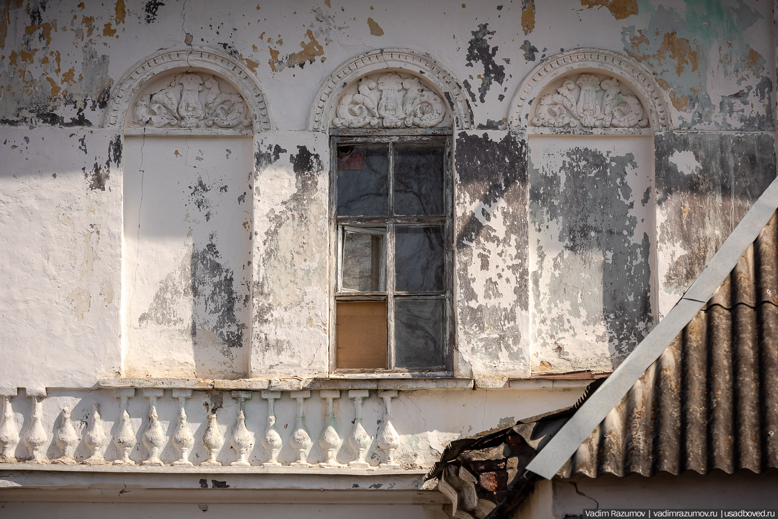 Пролески в усадьбе Репец, Задонский район, Липецкая область