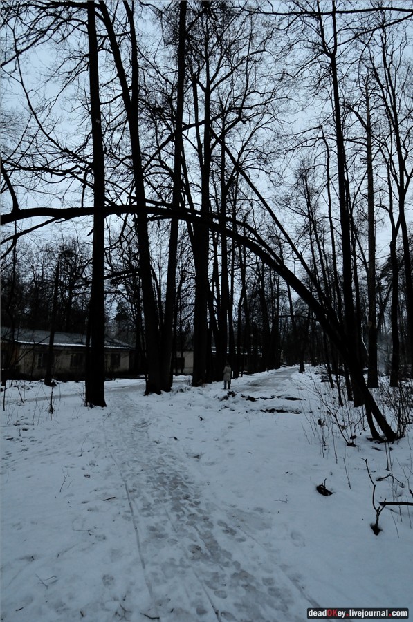 усадьба Пехра-Яковлевское