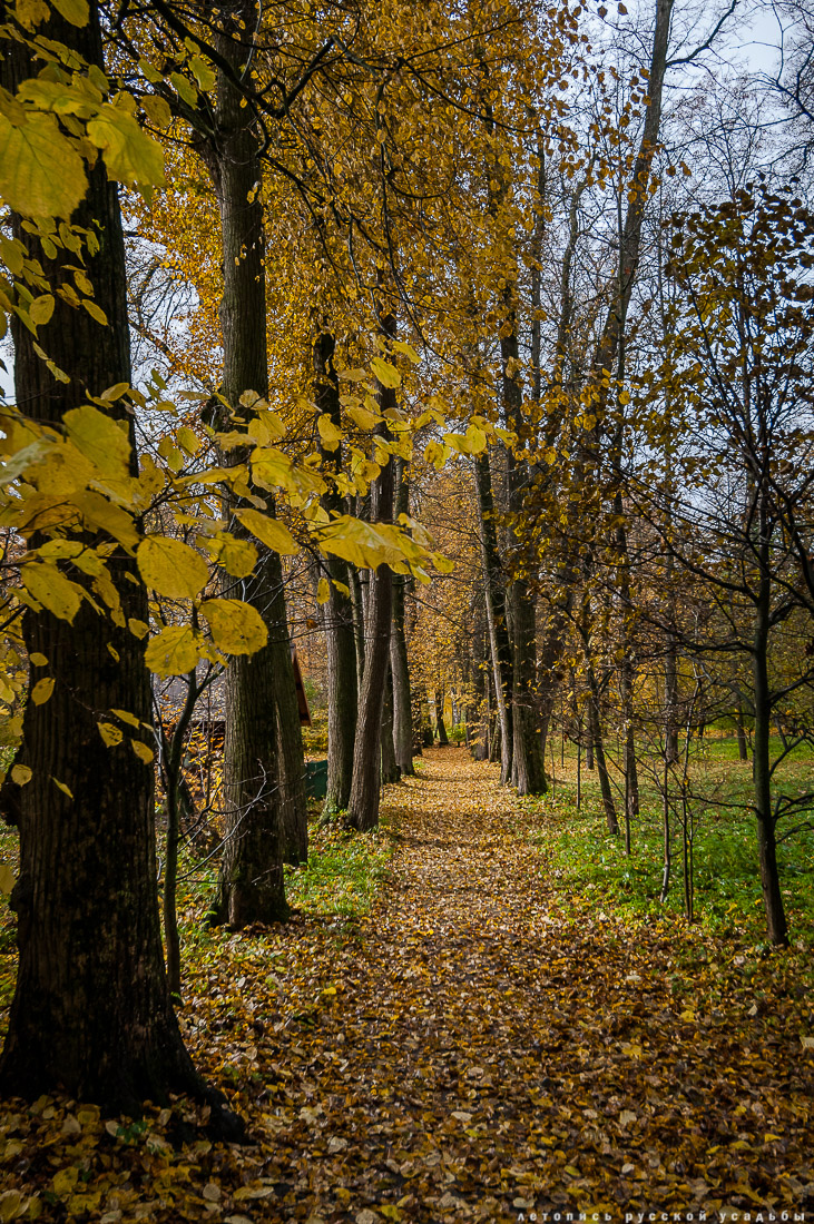 усадьба Ясная Поляна Льва Николаевича Толстого, Тульская область, осенью