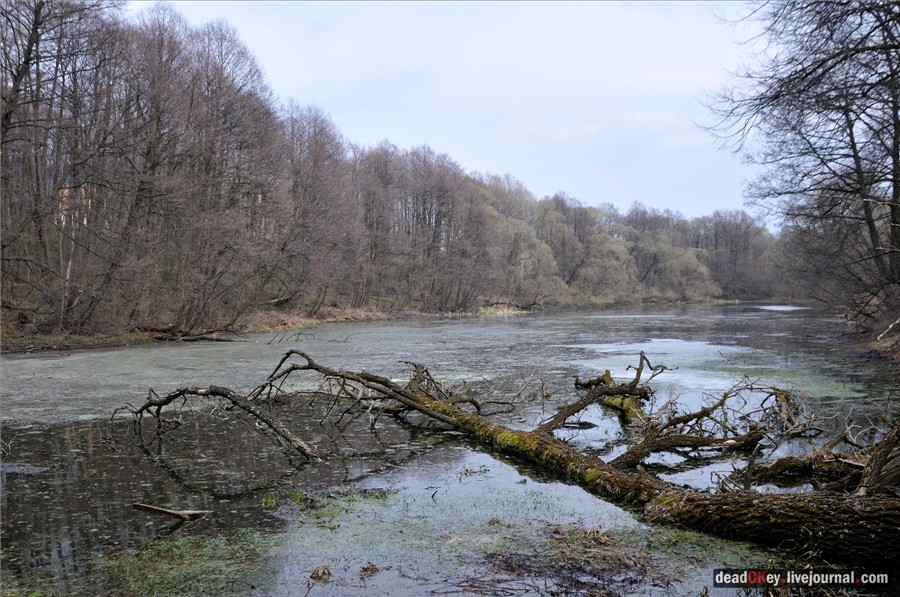 усадьба Городня