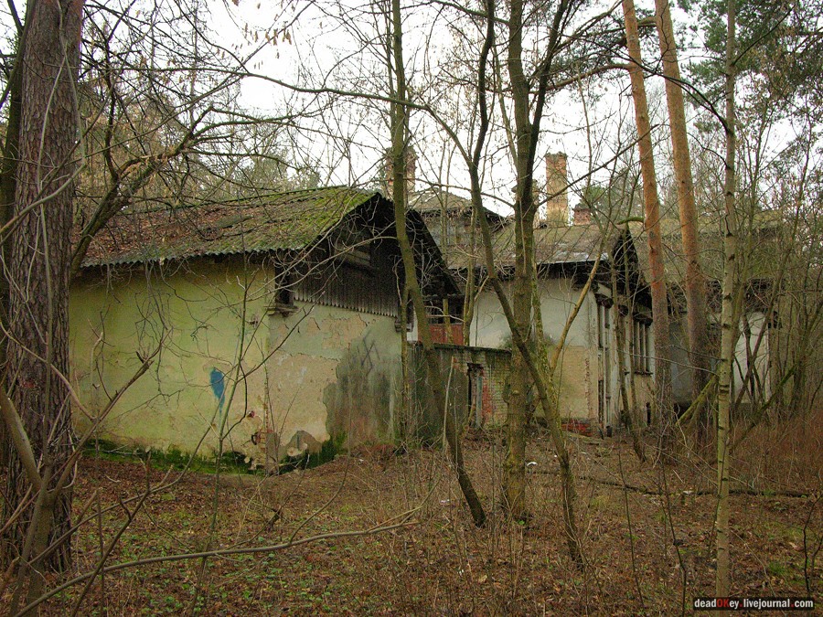 усадьба Глухово