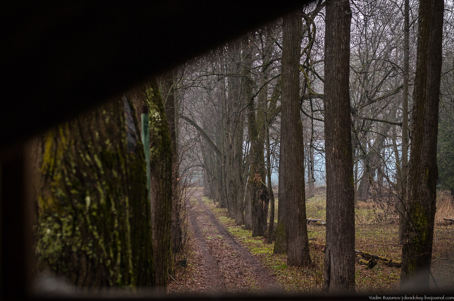 Интерьеры усадьбы Петрово-Дальнее, Дурнево