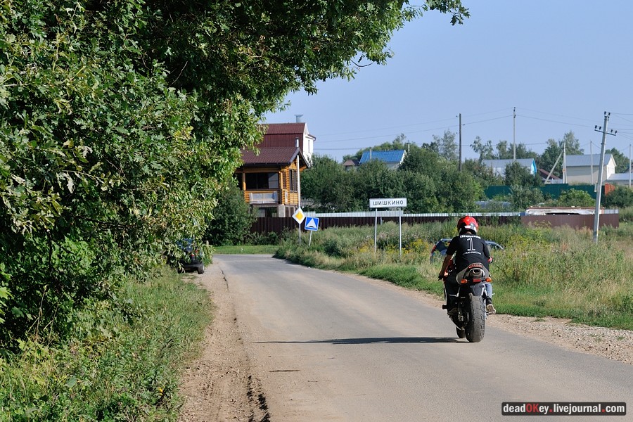 усадьба Шишкино