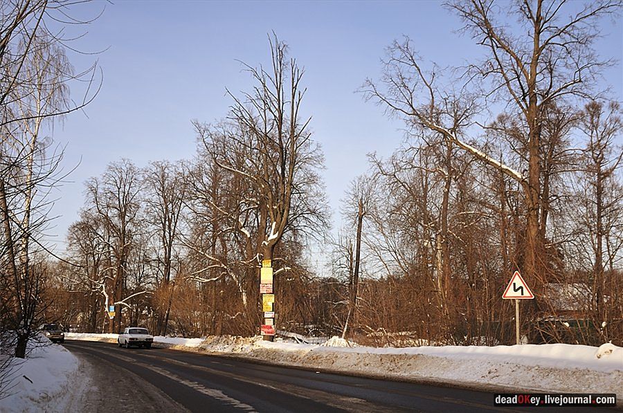 усадьба Осеченки