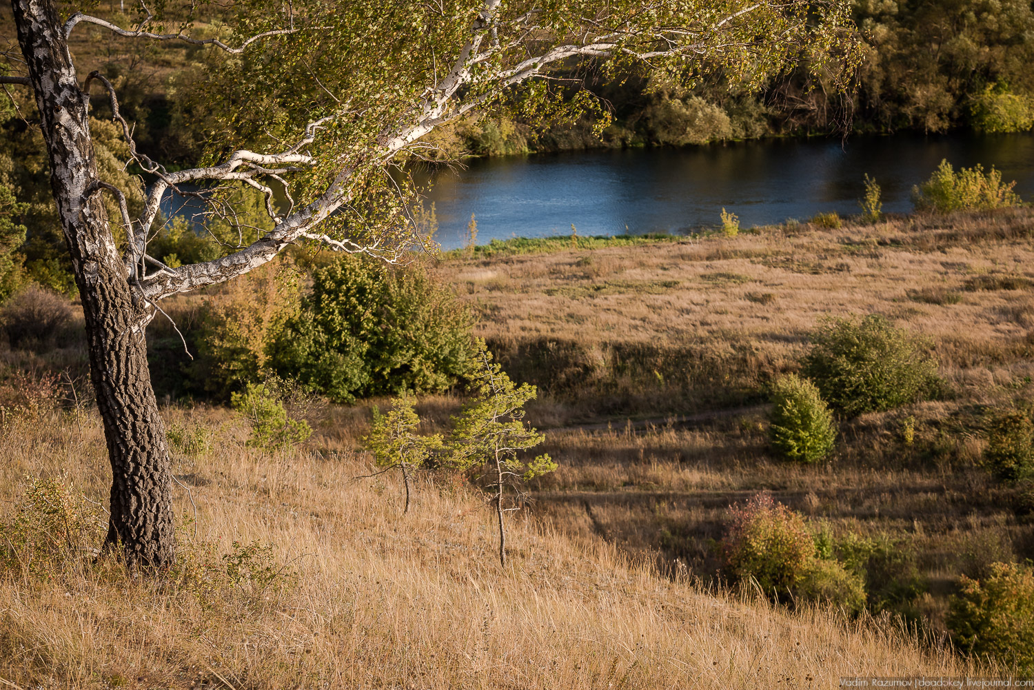 усадьба Полибино, Липецкая область, Усадебные волонтеры 21 сентября 2019 года