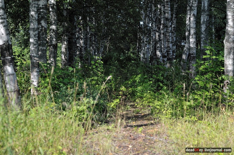 усадьба Хомяково