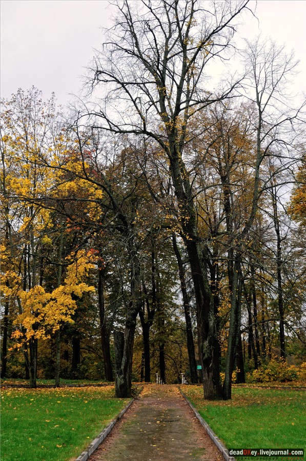 усадьба Марфино