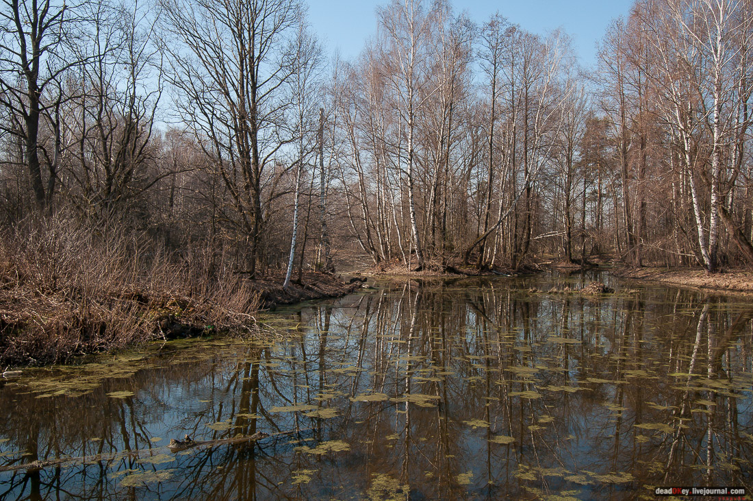 усадьба Савинское (исследование масонского парка)