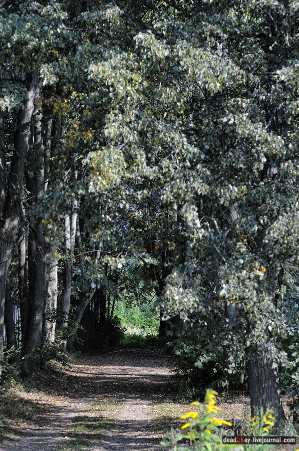 усадьба Хомяково