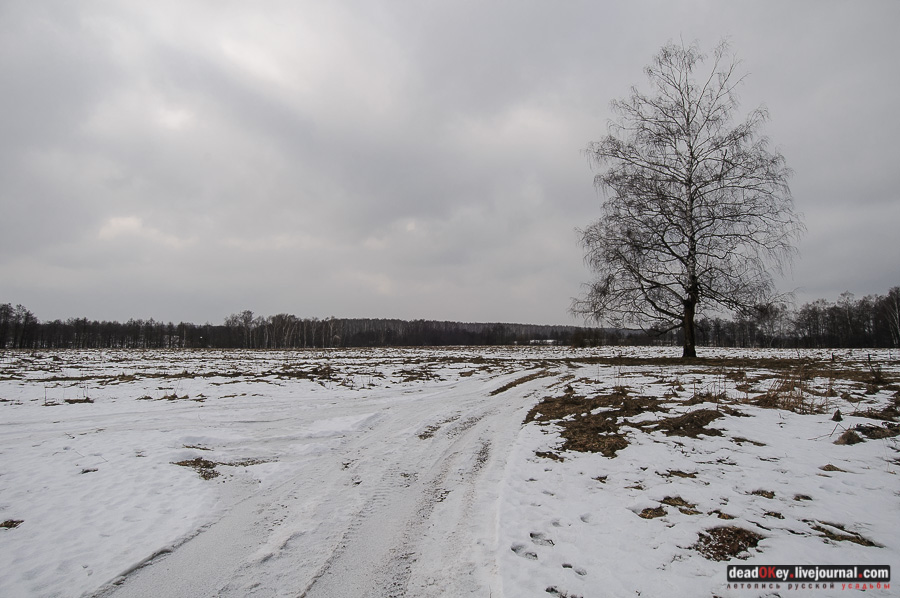 усадьба Рождественно (Рождественский погост)