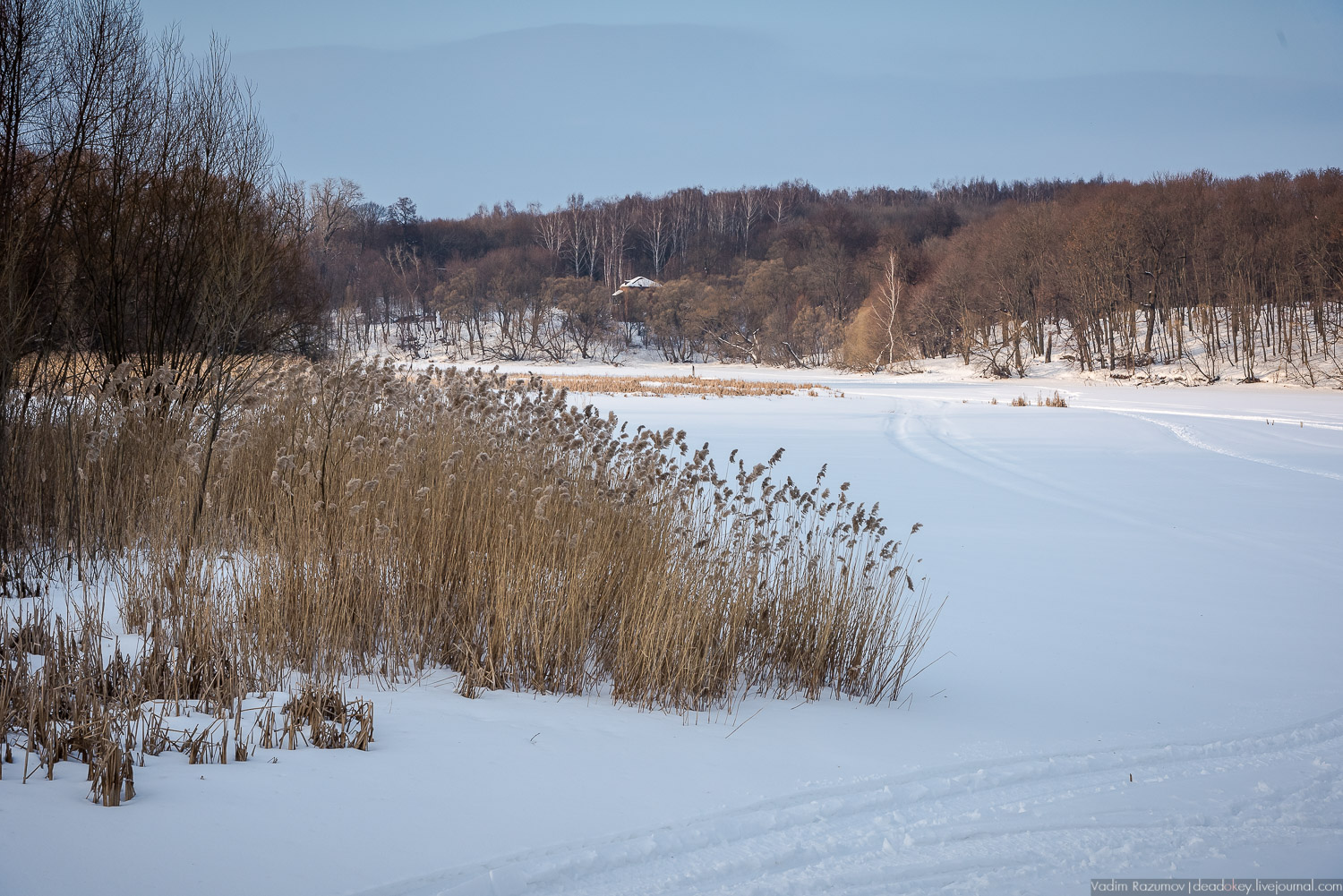 Богородицк, старые архивные фотографии