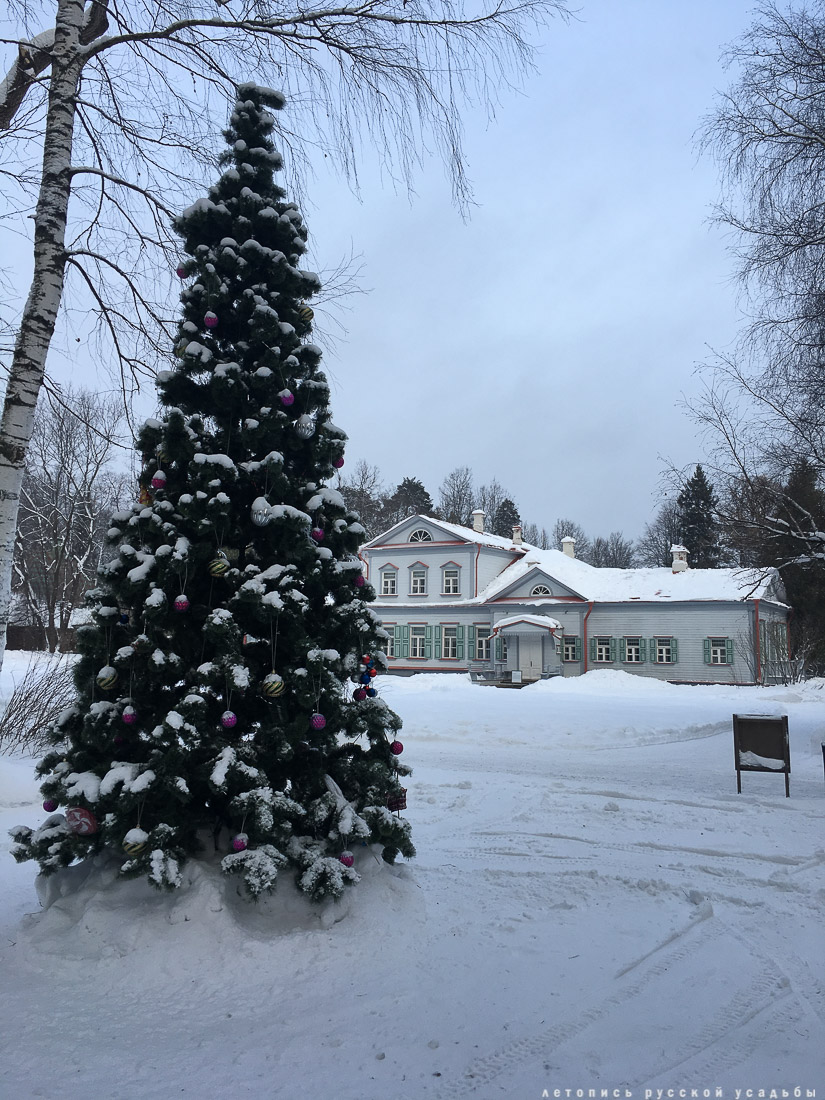 С Новым 2017 годом! Летопись Русской Усадьбы. Поздравление от усадеб. Усадебнаяелка2017