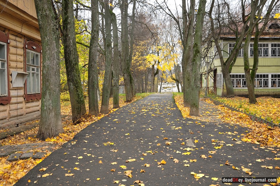 усадьба Жуково