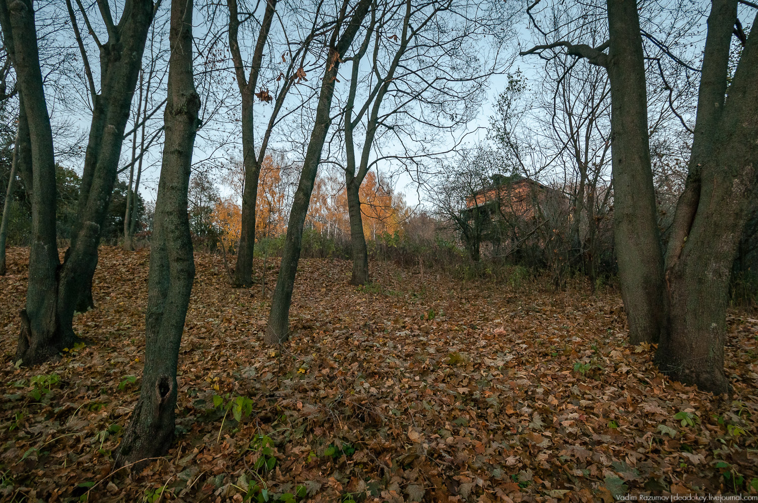 Богородицк, заброшенное здание бани