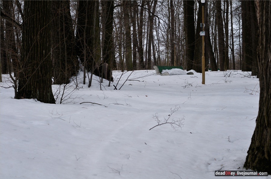 усадьба Райки