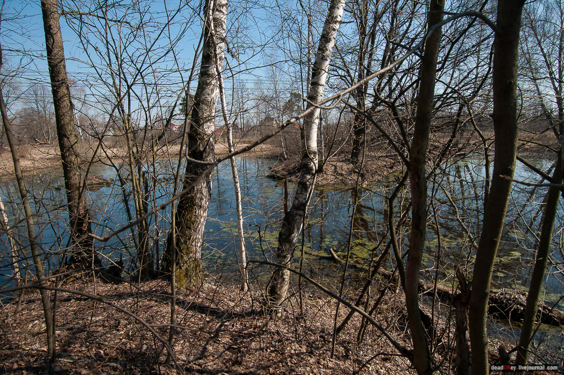 усадьба Савинское (исследование масонского парка)