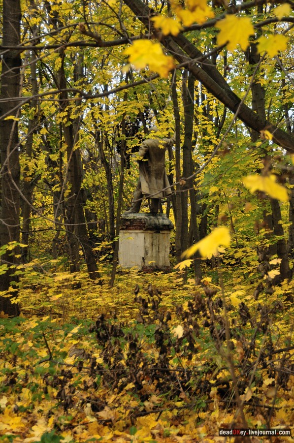 усадьба Жуково