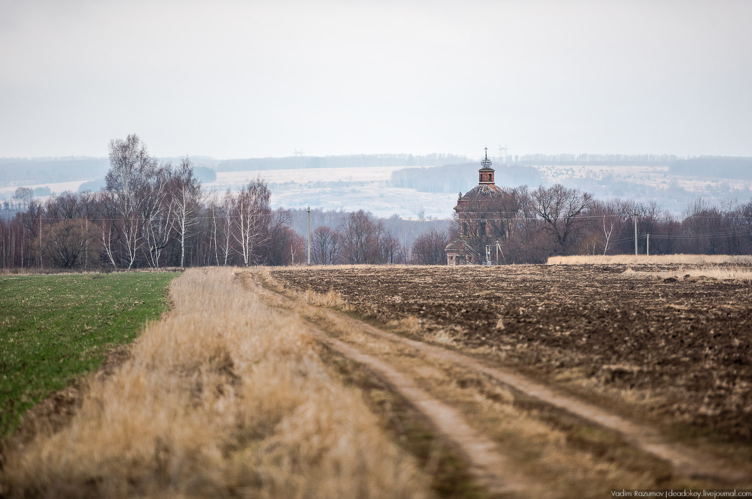 усадьба Горки, Заразы, Тульская область, церковь Михаила Архангела