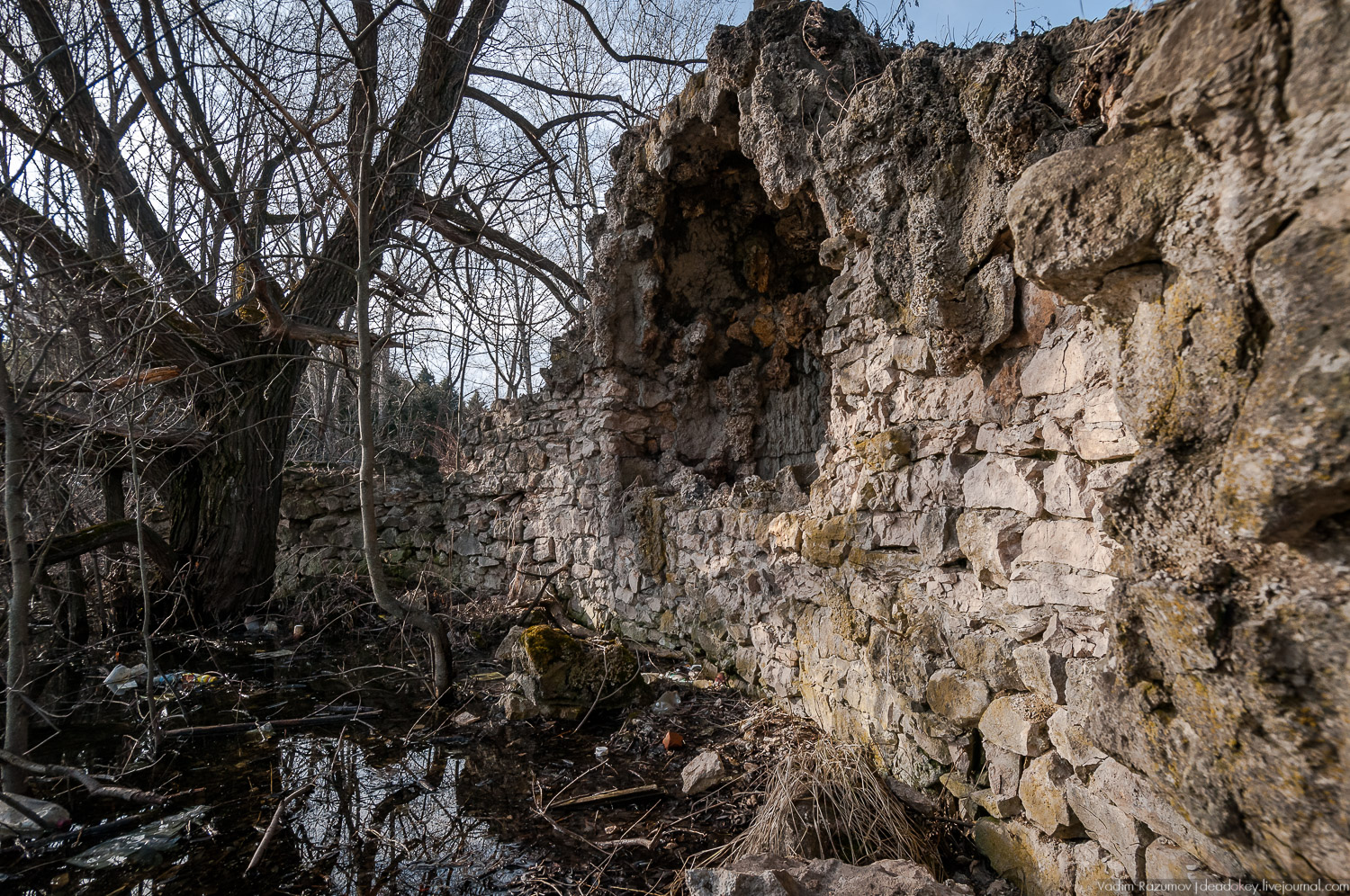 Усадебный экспресс. Рязанская область. Железная история