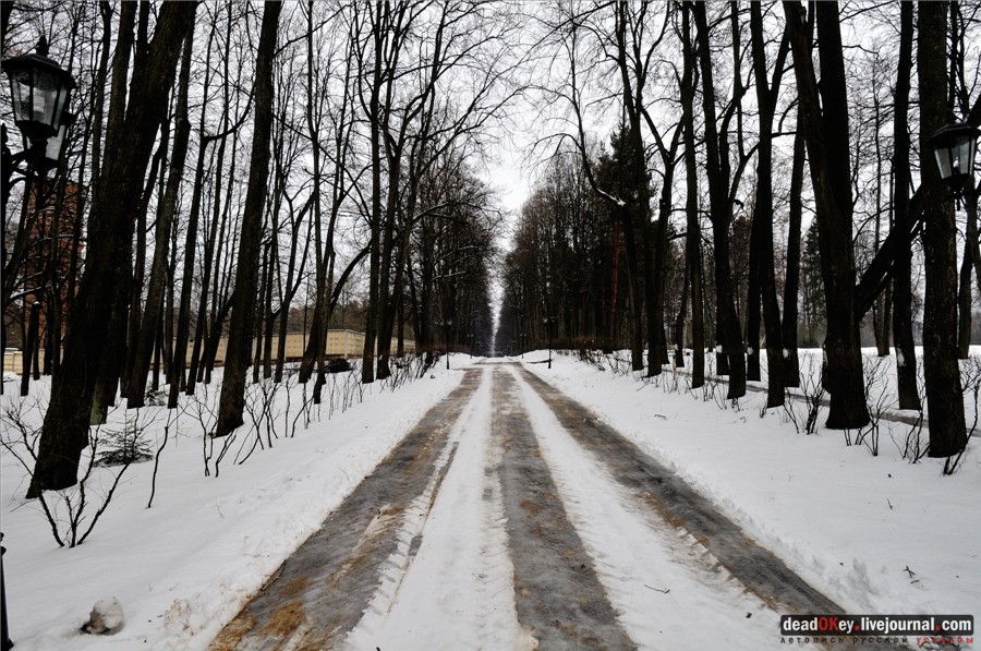 усадьба Введенское
