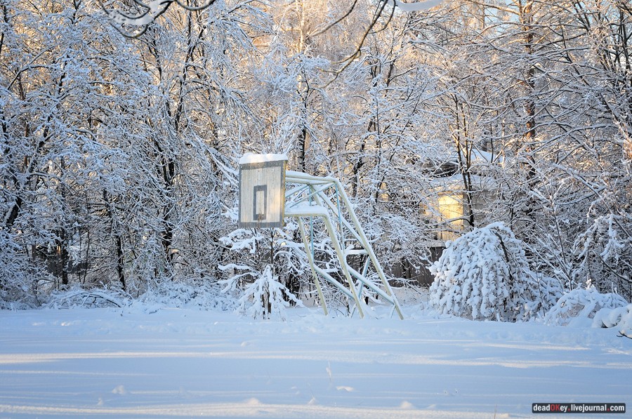 усадьба Полушкино
