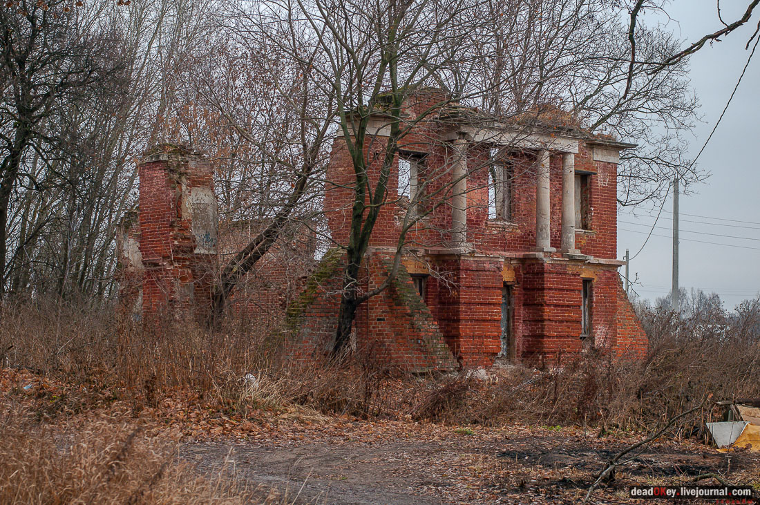 Усадьба Ляхово, съемки на НТВ-Сегодня