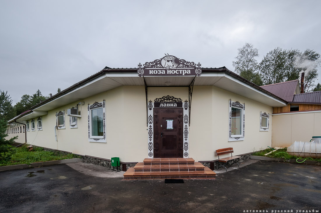 Экоэлектричка на родину журавлей в Талдомский район