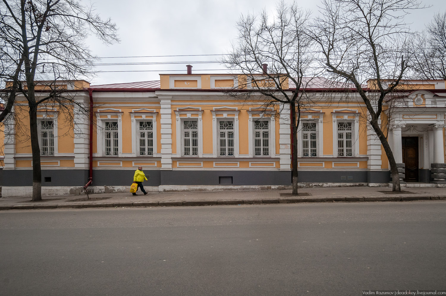 Орел литературный