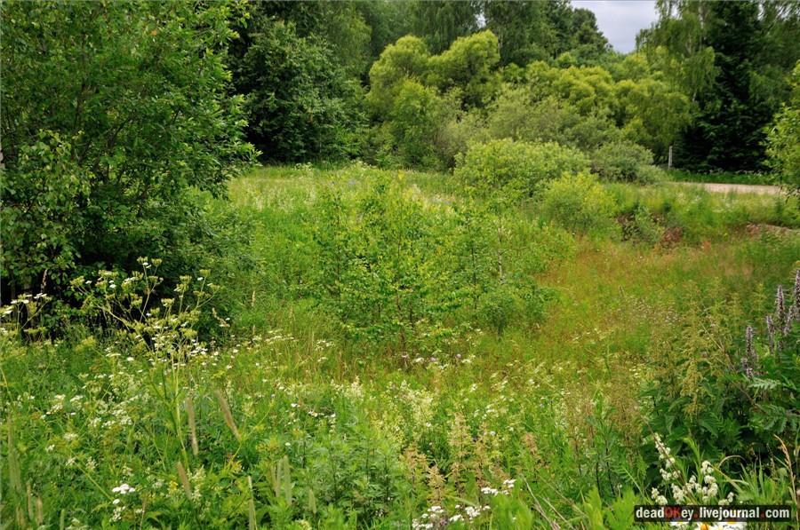 усадьба Фуникова Гора Прокудина-Горского