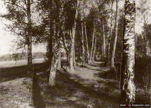 усадьба Остафьево