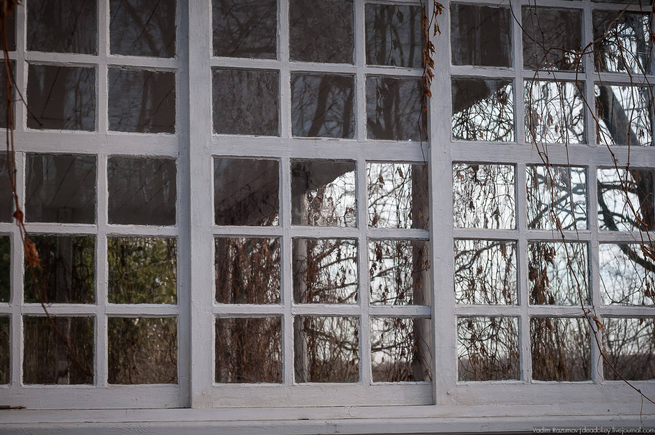 аудиогид Где вкуснее пастила Путешествие-дегустация Land Rover, фото Вадим Разумов