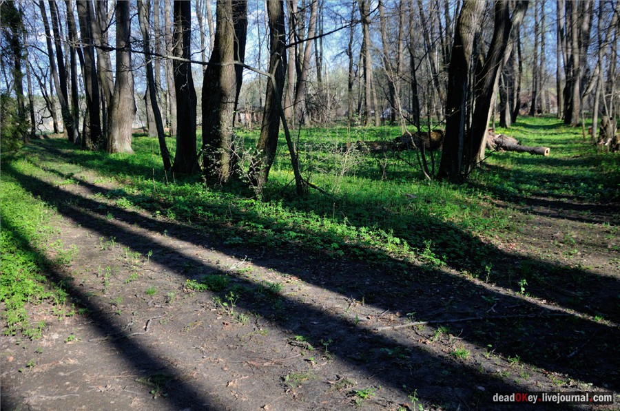 усадьба Орехово