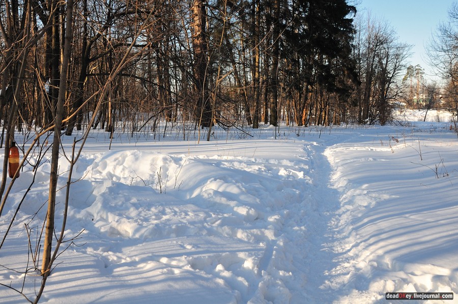 усадьба Архангельское-Тюриково