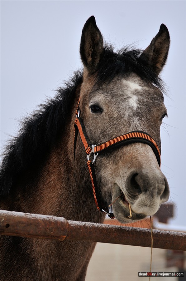 усадьба Успенское
