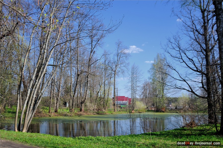 усадьба Орехово